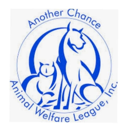 shelter logo
