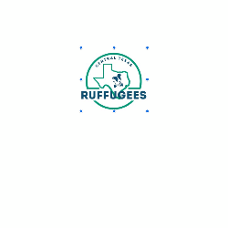 shelter logo