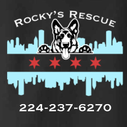 shelter logo