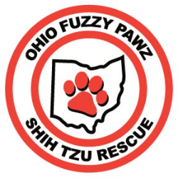shelter logo