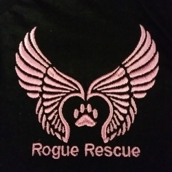 shelter logo