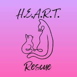 shelter logo