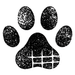 shelter logo