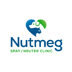 shelter logo