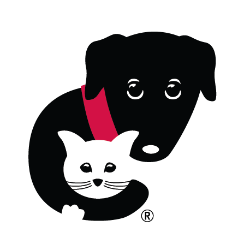 shelter logo