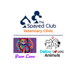 shelter logo