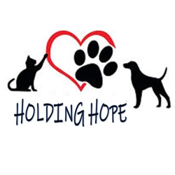 shelter logo