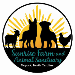 shelter logo