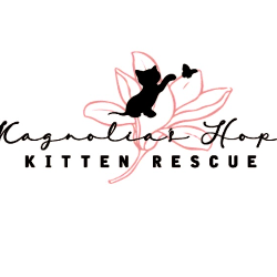 shelter logo