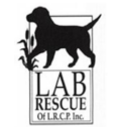 shelter logo