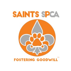 shelter logo
