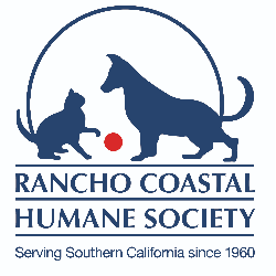 shelter logo