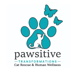 Pawsitive Transformations