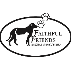 shelter logo