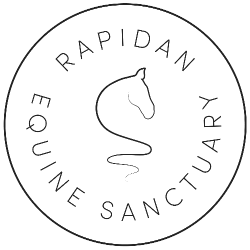 shelter logo