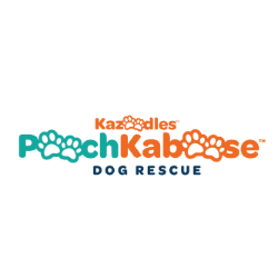 shelter logo