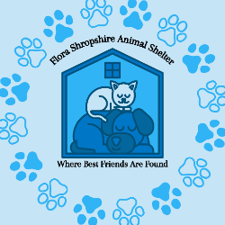shelter logo