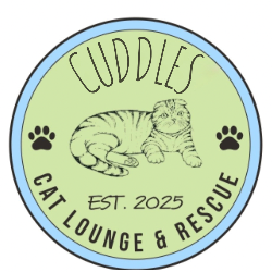 shelter logo
