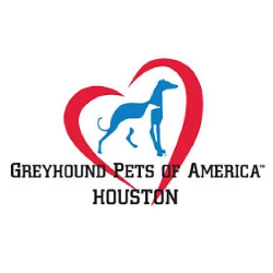 shelter logo