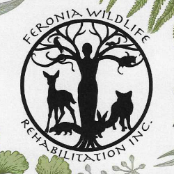 shelter logo