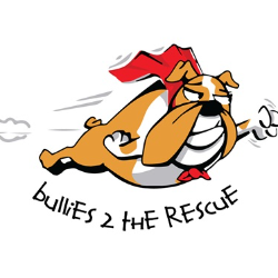 shelter logo