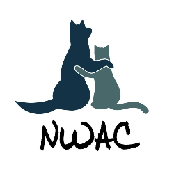 shelter logo