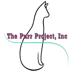 shelter logo
