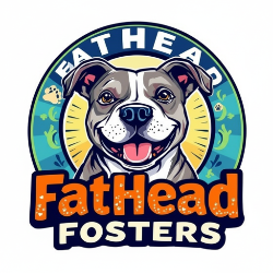 shelter logo
