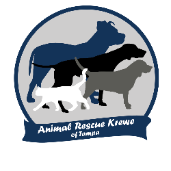shelter logo