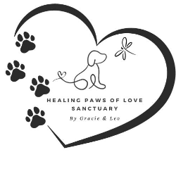 shelter logo