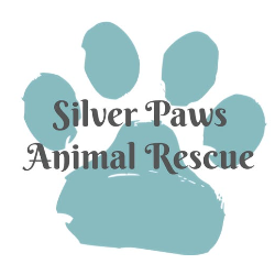 shelter logo