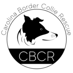 Carolina Border Collie Rescue