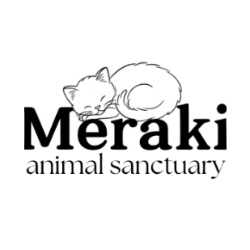 shelter logo