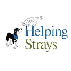 shelter logo