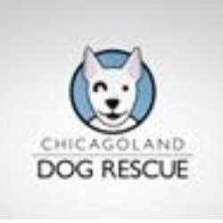shelter logo