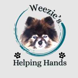 shelter logo