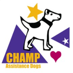 shelter logo
