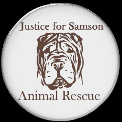 shelter logo