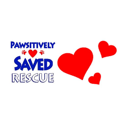 shelter logo