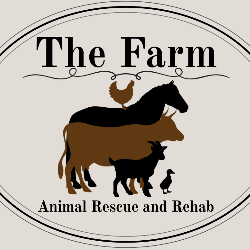 shelter logo