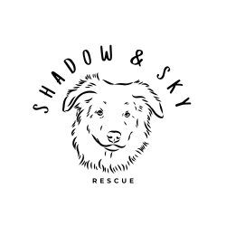 shelter logo