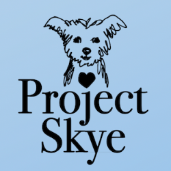 shelter logo