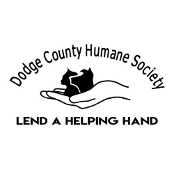 shelter logo