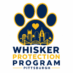 shelter logo