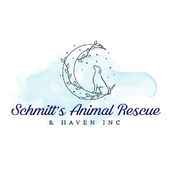 shelter logo