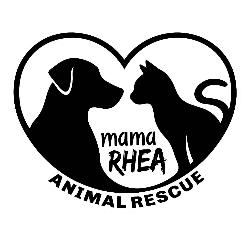 shelter logo