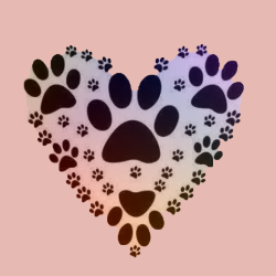 shelter logo