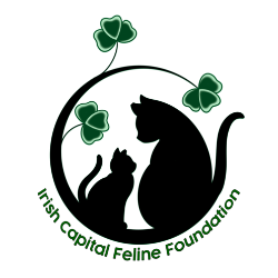 shelter logo