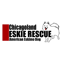 shelter logo