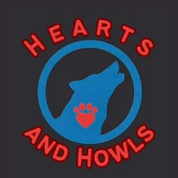 shelter logo